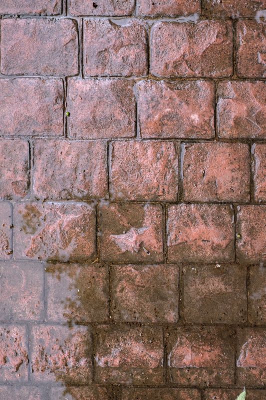 Decorative Concrete Repair in Cary, NC