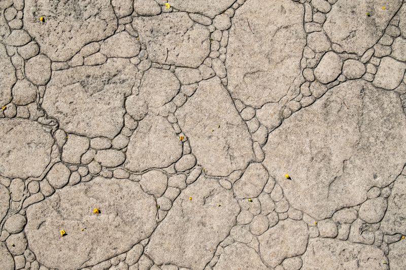 Decorative Concrete Repair in Delray Beach, FL
