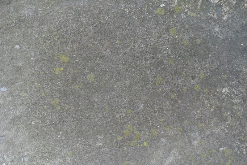 Cement Staining in Corpus Christi, TX